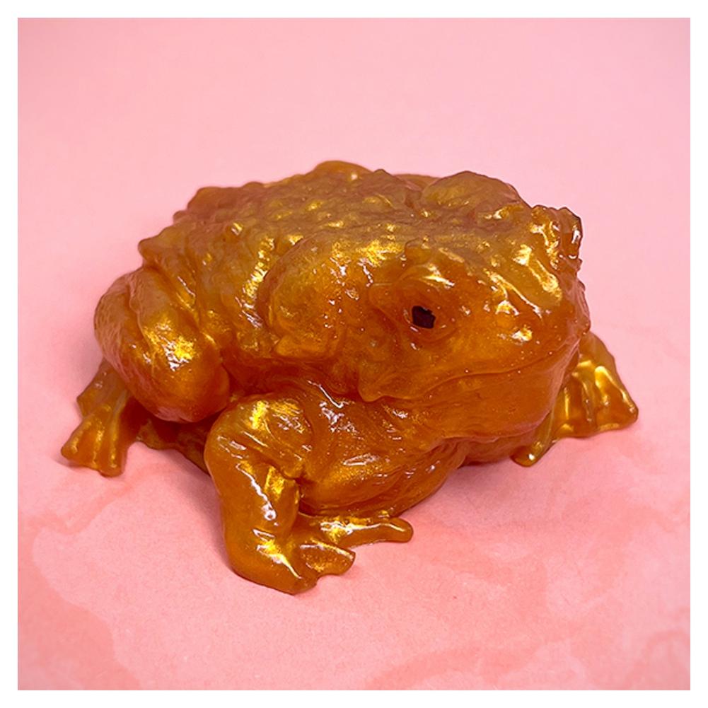 1pcs Funny Toad Frog Squishy O - Badminton Meme review and price