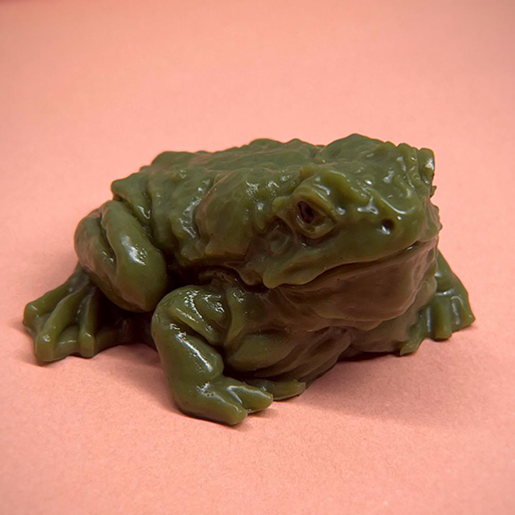 1pcs Funny Toad Frog Squishy O - Badminton Meme review and price